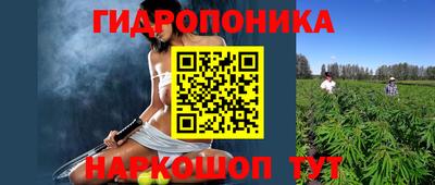 спиды Долгопрудный